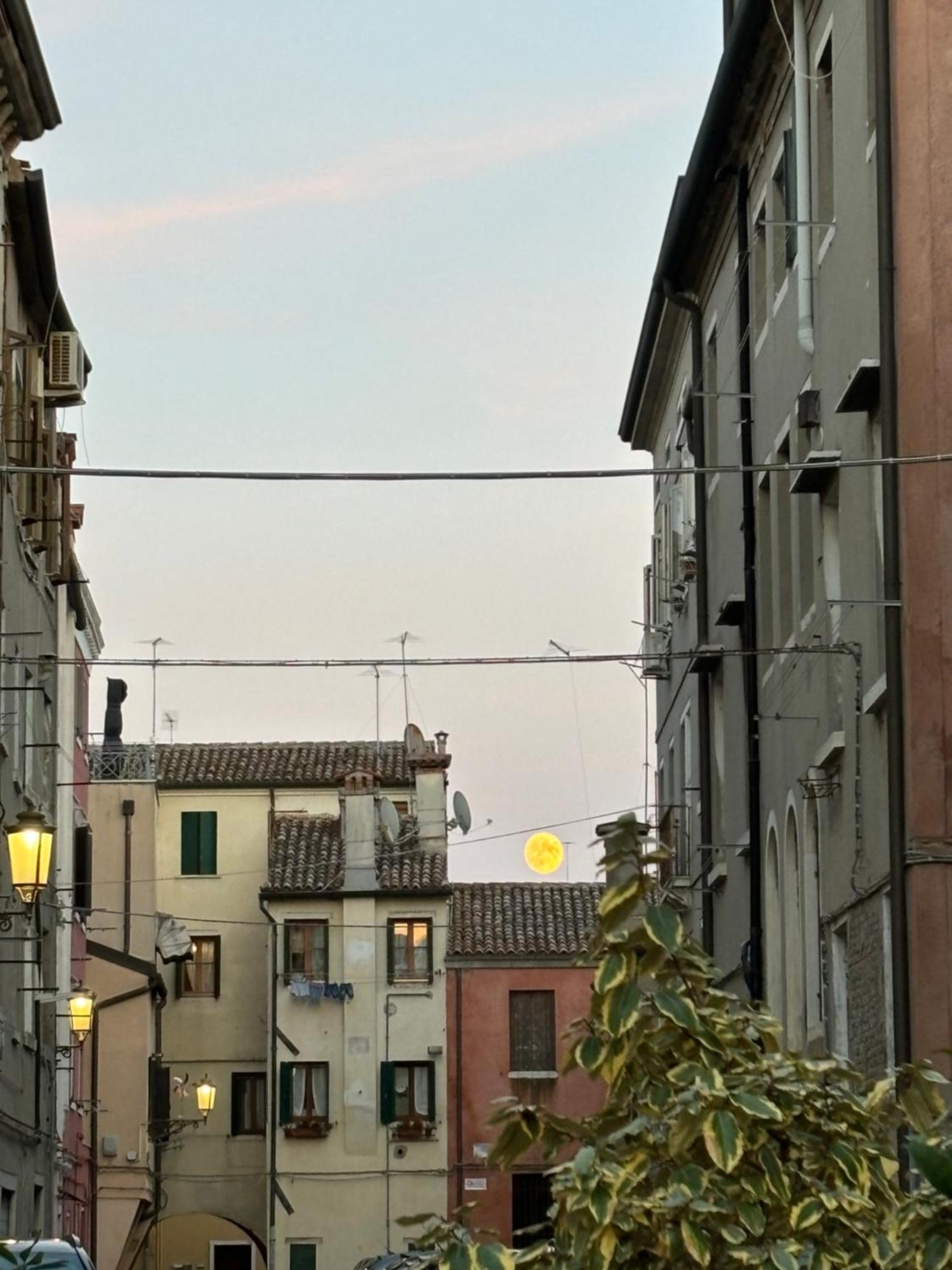 Ca' Donin - Centro Storico Lägenhet Chioggia Exteriör bild
